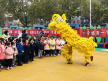 图片6